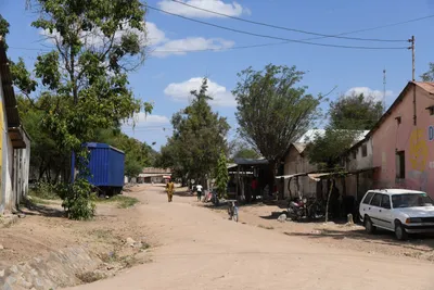 DSC_2631 (Large).JPG